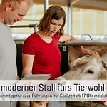 Διαμέρισμα Eger - Entspannter Urlaub Mit Baby & Kleinkind - Wahlweise Modern Oder Guenstige Fewos - Ruhig Am Ende Der Strasse - Kaelbchen Fuettern - Traktor Fahren - Freie Fahrt Mit Den Hoernerbahnen In Sommersaison - E-ladestation - E-bike Verlei *
