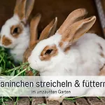 Eger - Entspannter Urlaub Mit Baby & Kleinkind - Wahlweise Modern Oder Guenstige Fewos - Ruhig Am Ende Der Strasse - Kaelbchen Fuettern - Traktor Fahren - Freie Fahrt Mit Den Hoernerbahnen In Sommersaison - E-ladestation - E-bike Verlei Immenstadt im Allgäu
