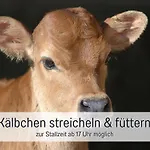 Eger - Entspannter Urlaub Mit Baby & Kleinkind - Wahlweise Modern Oder Guenstige Fewos - Ruhig Am Ende Der Strasse - Kaelbchen Fuettern - Traktor Fahren - Freie Fahrt Mit Den Hoernerbahnen In Sommersaison - E-ladestation - E-bike Verlei Immenstadt im Allgäu