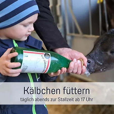 アパート Eger - Entspannter Urlaub Mit Baby & Kleinkind - Wahlweise Modern Oder Guenstige Fewos - Ruhig Am Ende Der Strasse - Kaelbchen Fuettern - Traktor Fahren - Freie Fahrt Mit Den Hoernerbahnen In Sommersaison - E-ladestation - E-bike Verlei Immenstadt im Allgäu