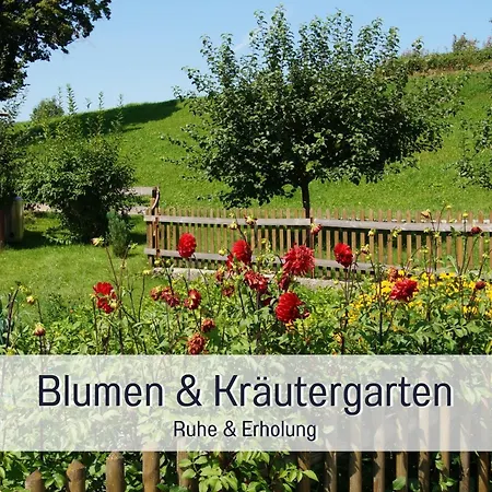 Apartment Eger - Entspannter Urlaub Mit Baby & Kleinkind - Wahlweise Modern Oder Guenstige Fewos - Ruhig Am Ende Der Strasse - Kaelbchen Fuettern - Traktor Fahren - Freie Fahrt Mit Den Hoernerbahnen In Sommersaison - E-ladestation - E-bike Verlei
