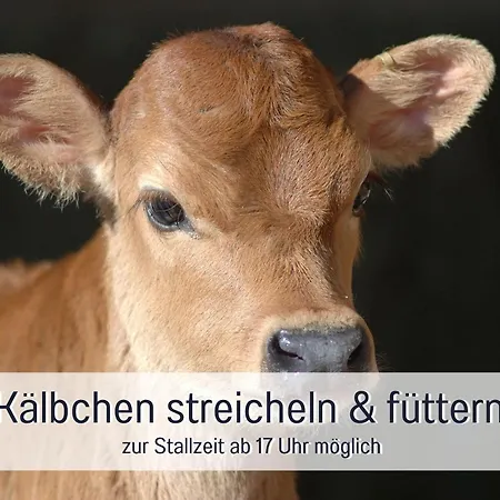 Eger - Entspannter Urlaub Mit Baby & Kleinkind - Wahlweise Modern Oder Guenstige Fewos - Ruhig Am Ende Der Strasse - Kaelbchen Fuettern - Traktor Fahren - Freie Fahrt Mit Den Hoernerbahnen In Sommersaison - E-ladestation - E-bike Verlei Immenstadt im Allgaeu