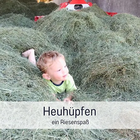 Eger - Entspannter Urlaub Mit Baby&kleinkind - Wahlweise Modern Oder Günstige Fewos - Ruhig Am Ende Der Straße - Kälbchen Füttern - Traktor Fahren - Freie Fahrt Mit Den Hörnerbahnen In Sommersaison - E-ladestation - E-bike Verleih Ab Apartamento Immenstadt im Allgäu