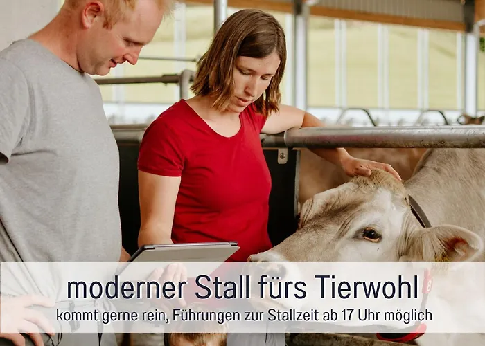 דירה Eger - Entspannter Urlaub Mit Baby & Kleinkind - Wahlweise Modern Oder Guenstige Fewos - Ruhig Am Ende Der Strasse - Kaelbchen Fuettern - Traktor Fahren - Freie Fahrt Mit Den Hoernerbahnen In Sommersaison - E-ladestation - E-bike Verlei *