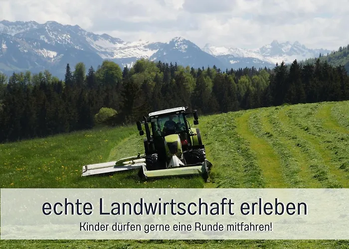 Eger - Entspannter Urlaub Mit Baby & Kleinkind - Wahlweise Modern Oder Guenstige Fewos - Ruhig Am Ende Der Strasse - Kaelbchen Fuettern - Traktor Fahren - Freie Fahrt Mit Den Hoernerbahnen In Sommersaison - E-ladestation - E-bike Verlei Appartement Immenstadt im Allgäu