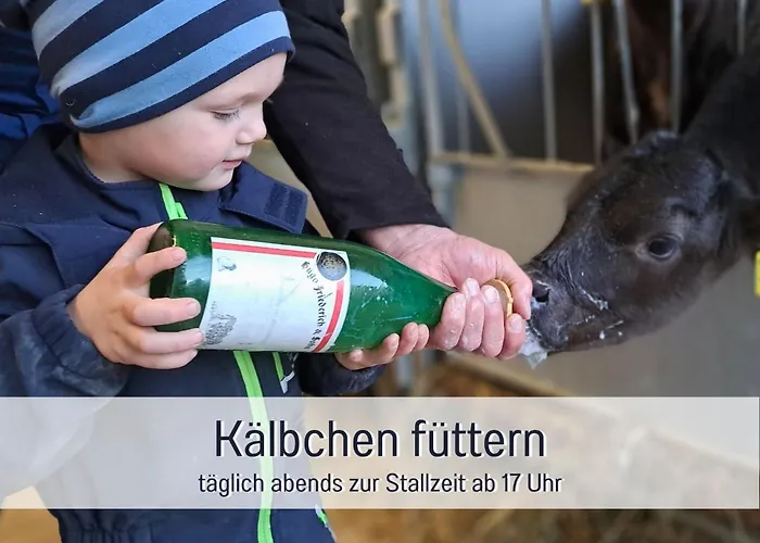 Appartement Eger - Entspannter Urlaub Mit Baby & Kleinkind - Wahlweise Modern Oder Guenstige Fewos - Ruhig Am Ende Der Strasse - Kaelbchen Fuettern - Traktor Fahren - Freie Fahrt Mit Den Hoernerbahnen In Sommersaison - E-ladestation - E-bike Verlei Immenstadt im Allgäu
