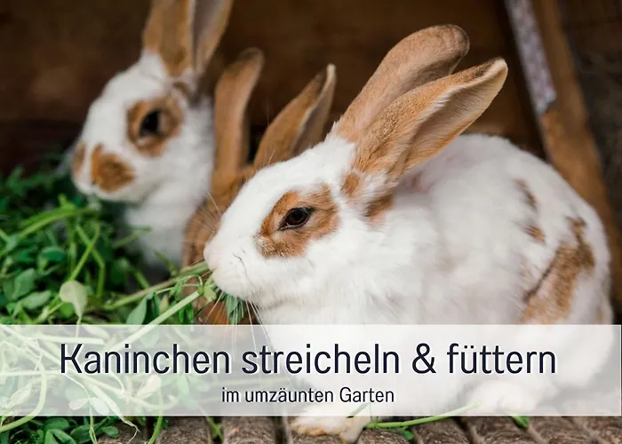 Eger - Entspannter Urlaub Mit Baby & Kleinkind - Wahlweise Modern Oder Guenstige Fewos - Ruhig Am Ende Der Strasse - Kaelbchen Fuettern - Traktor Fahren - Freie Fahrt Mit Den Hoernerbahnen In Sommersaison - E-ladestation - E-bike Verlei Immenstadt im Allgäu