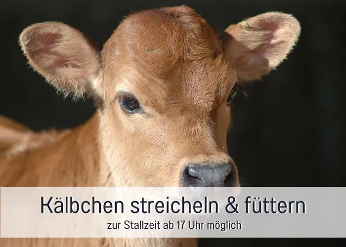 Eger - Entspannter Urlaub Mit Baby & Kleinkind - Wahlweise Modern Oder Guenstige Fewos - Ruhig Am Ende Der Strasse - Kaelbchen Fuettern - Traktor Fahren - Freie Fahrt Mit Den Hoernerbahnen In Sommersaison - E-ladestation - E-bike Verlei Immenstadt im Allgäu